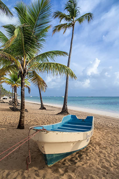Barbados beach and coastal setting